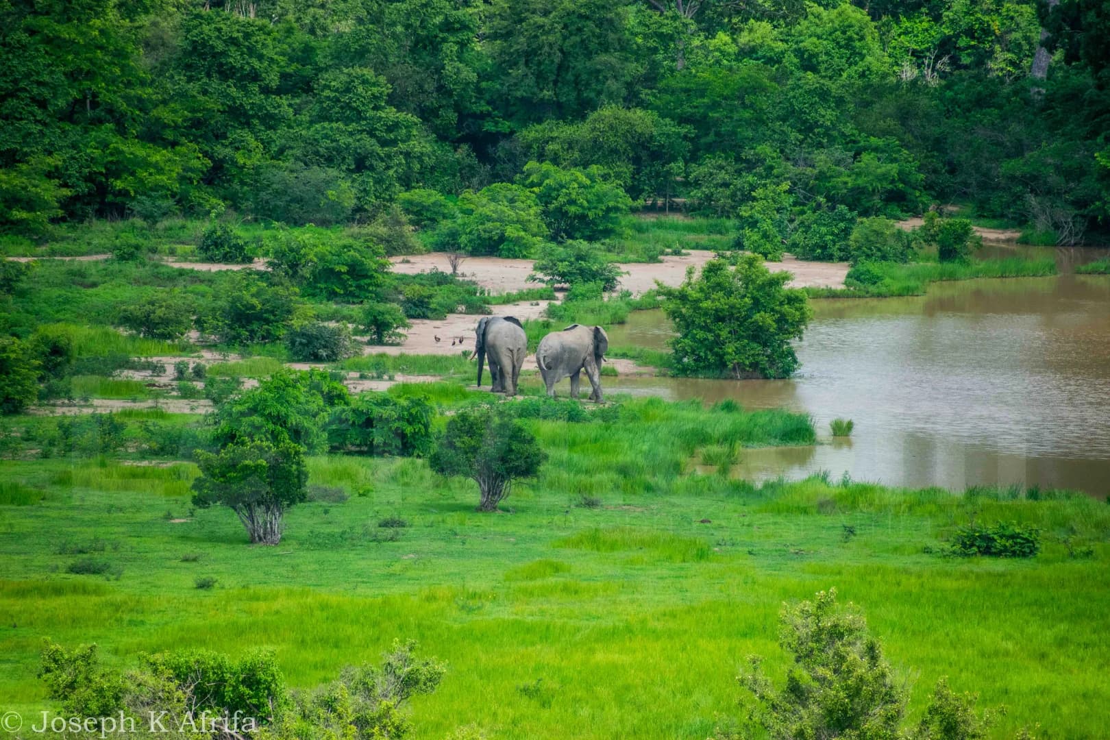 Mole National Park